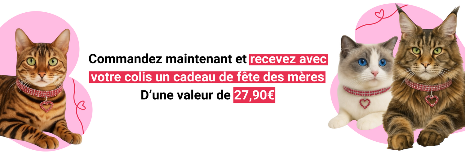 Une commande passée, un cadeau offert chez Furanza, uniquement pour Pâques