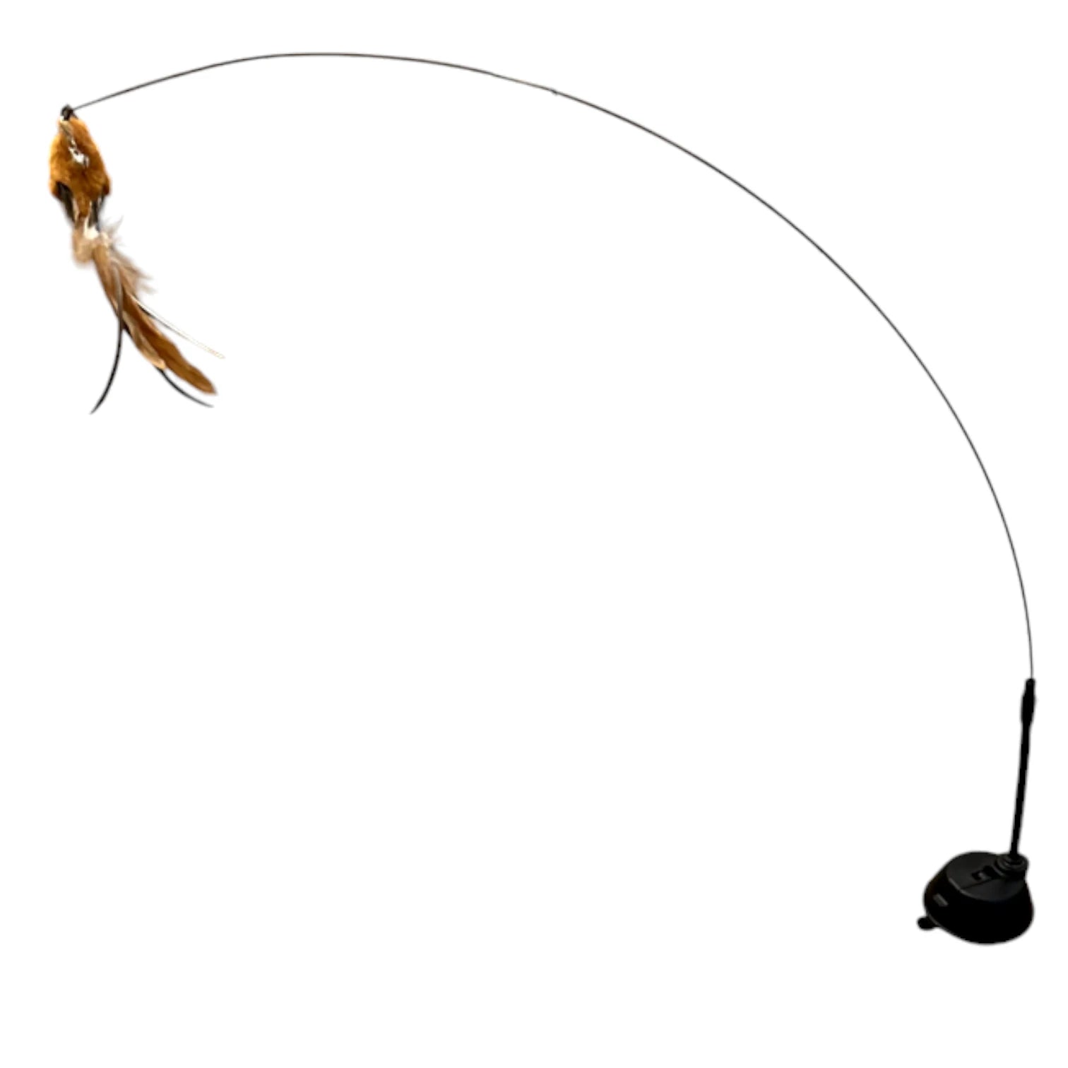Canne à pêche pour chat avec oiseau