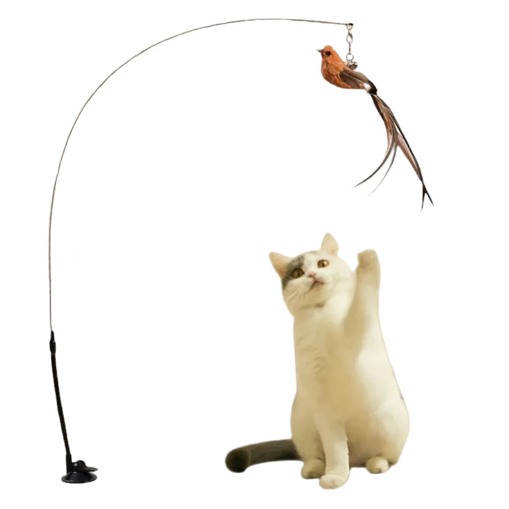 Canne à pêche pour chat avec oiseau