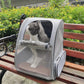 Sac à dos de transport chat avec filet