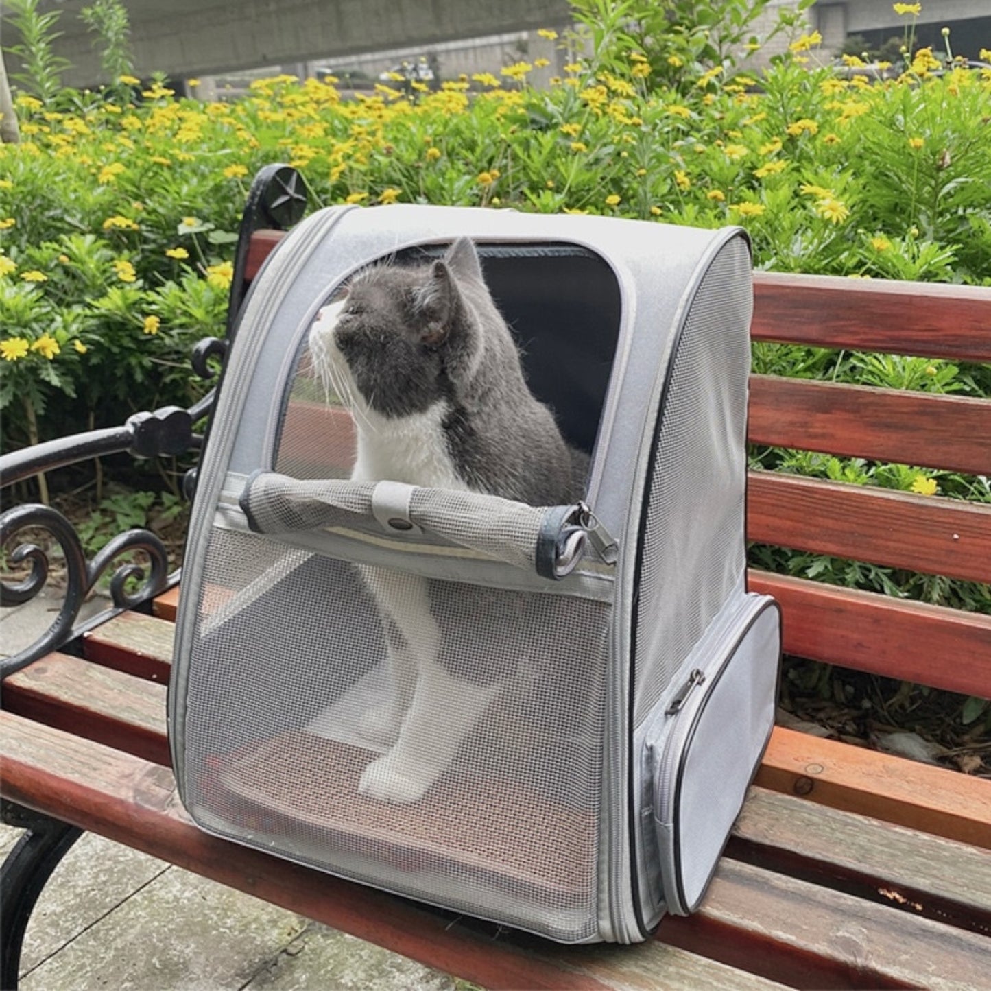 Sac à dos de transport chat avec filet