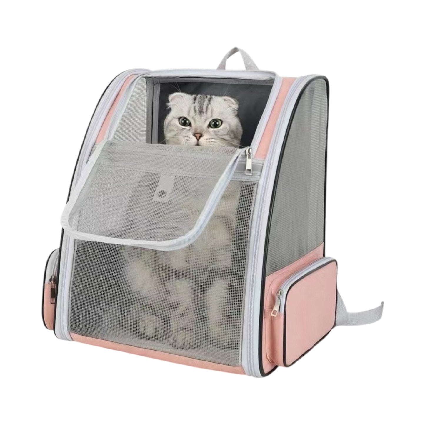 Sac à dos de transport chat avec filet