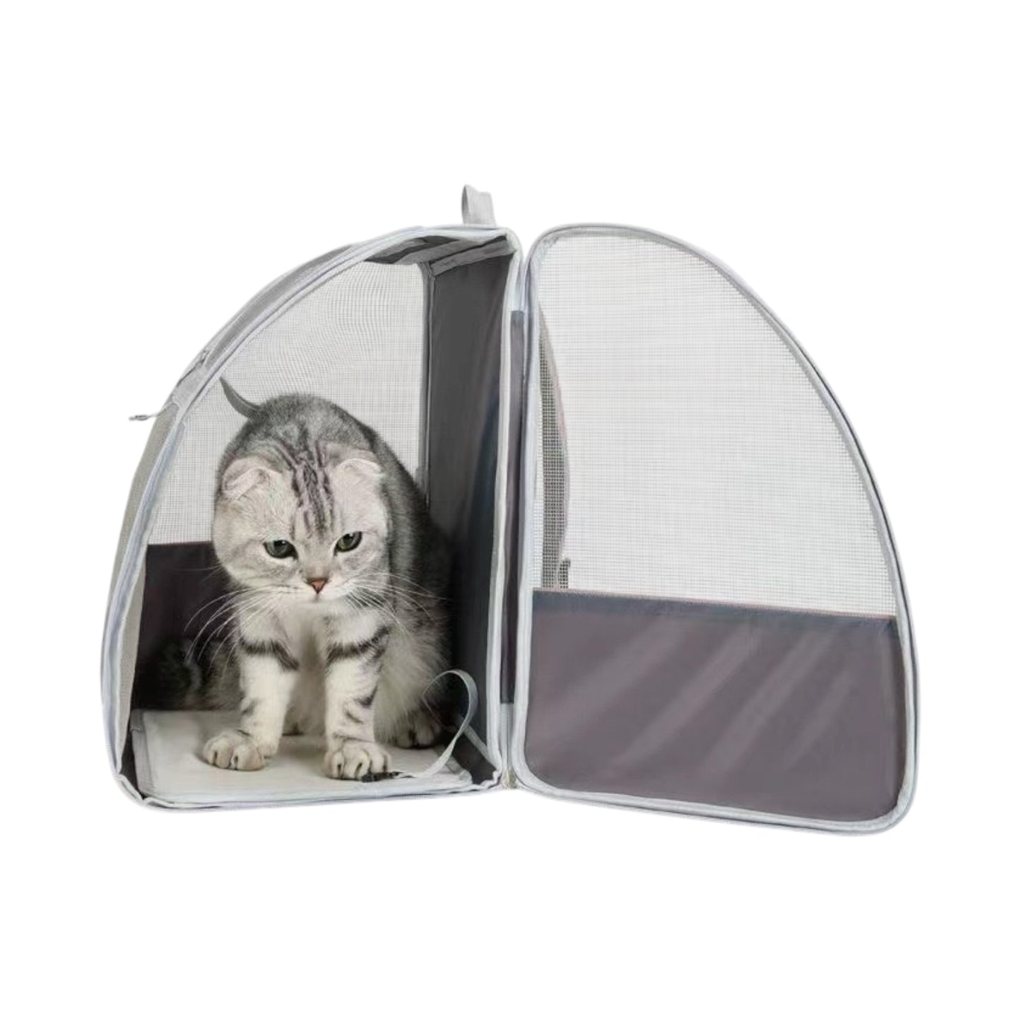Sac à dos de transport chat avec filet