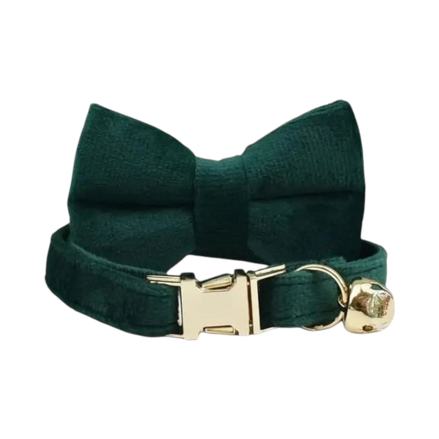 Collier en velours vert personnalisable pour chat