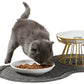 Gamelle pour chat surélevée avec assiette céramique