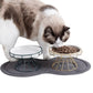 Gamelle pour chat surélevée avec assiette céramique