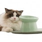 Gamelle surélevée en céramique pour chat