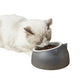 Gamelle simple pour chat surélevée en inox