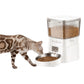 Distributeur automatique de croquettes pour chat programmable