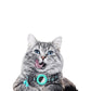Collier chat airtag anti étranglement