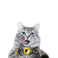 Collier chat airtag anti étranglement