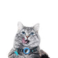 Collier chat airtag anti étranglement