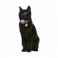 Collier gps chat iphone