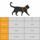 Harnais et laisse chat