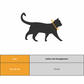 Collier pour chat personnalisé anti étranglement